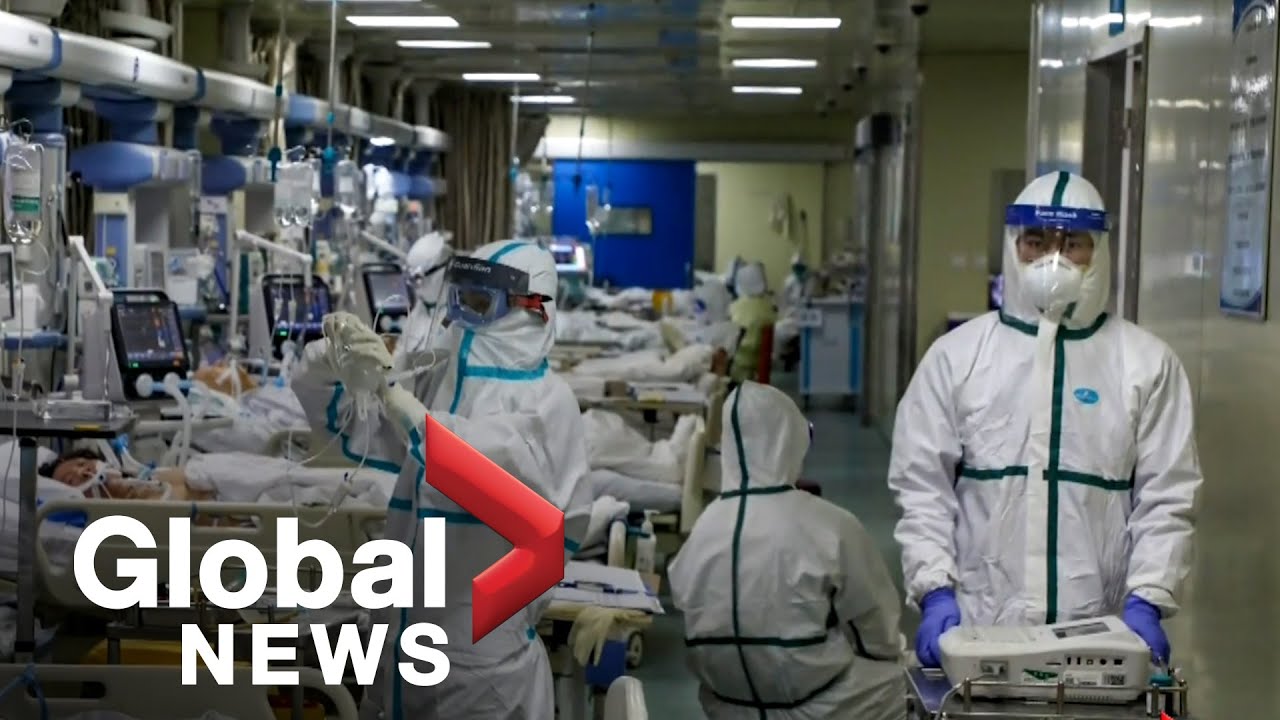 Coronavirus outbreak: Virus named COVID-19; more Canadian evacuees arrive