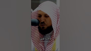 ماهر المعيقلي سورة الحشر #ماهر_المعيقلي #سورة_الحشر #قرآن_كريم #مكة #القرآن #islam