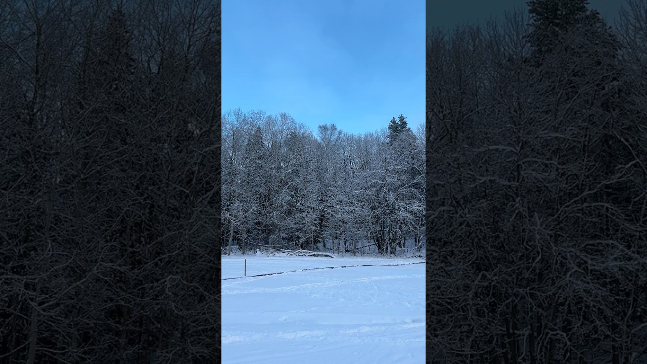 Konstsn&ouml;sp&aring;r i Ursvik ❄️ ⛷️ #skidor