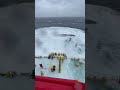 What happens when a giant sea creature breaches too close? 🐋🌊#megalophobia #giantwhale #ocean