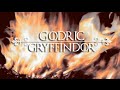 The Hogwarts Founders ● Godric Gryffindor