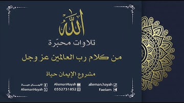 تلاوة سورة الحشر للقارئ الشيخ أحمد النفيس