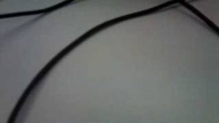 video-2010-03-31-09-00-29