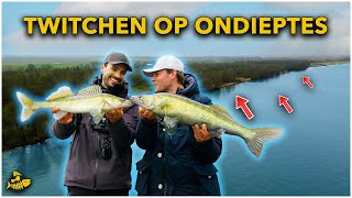 AGGRESSIEVE SNOEKBAARZEN PAKKEN DIT KUNSTAAS 2 KEER!