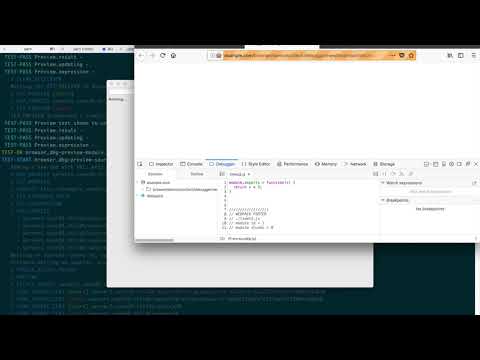 Firefox Debugger Tests