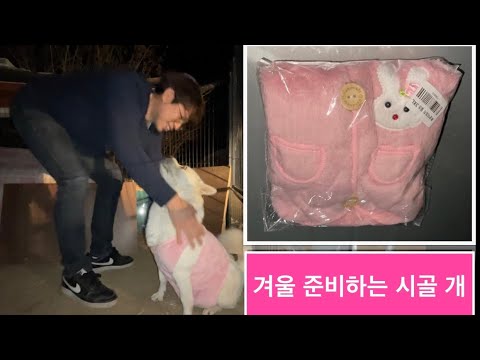 도그아이 강아지 중형견옷 대형견옷 3XL 토순이 조끼 iPhone 12 pro max