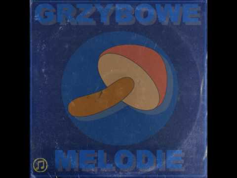 Kraina Grzybów II OST - Fałszywa przepowiednia - YouTube