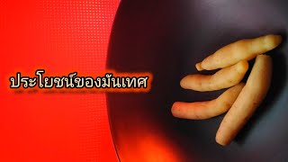 รู้รอบตัว 🟩 ประโยชน์ของมันเทศ