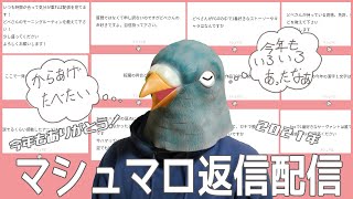 マシュマロほぼ全て返信するまで終われません 鳩のマシュマロ返信配信 Youtube