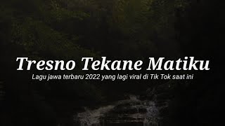 TRESNO TEKANE MATIKU || lagu viral Tik Tok populer
