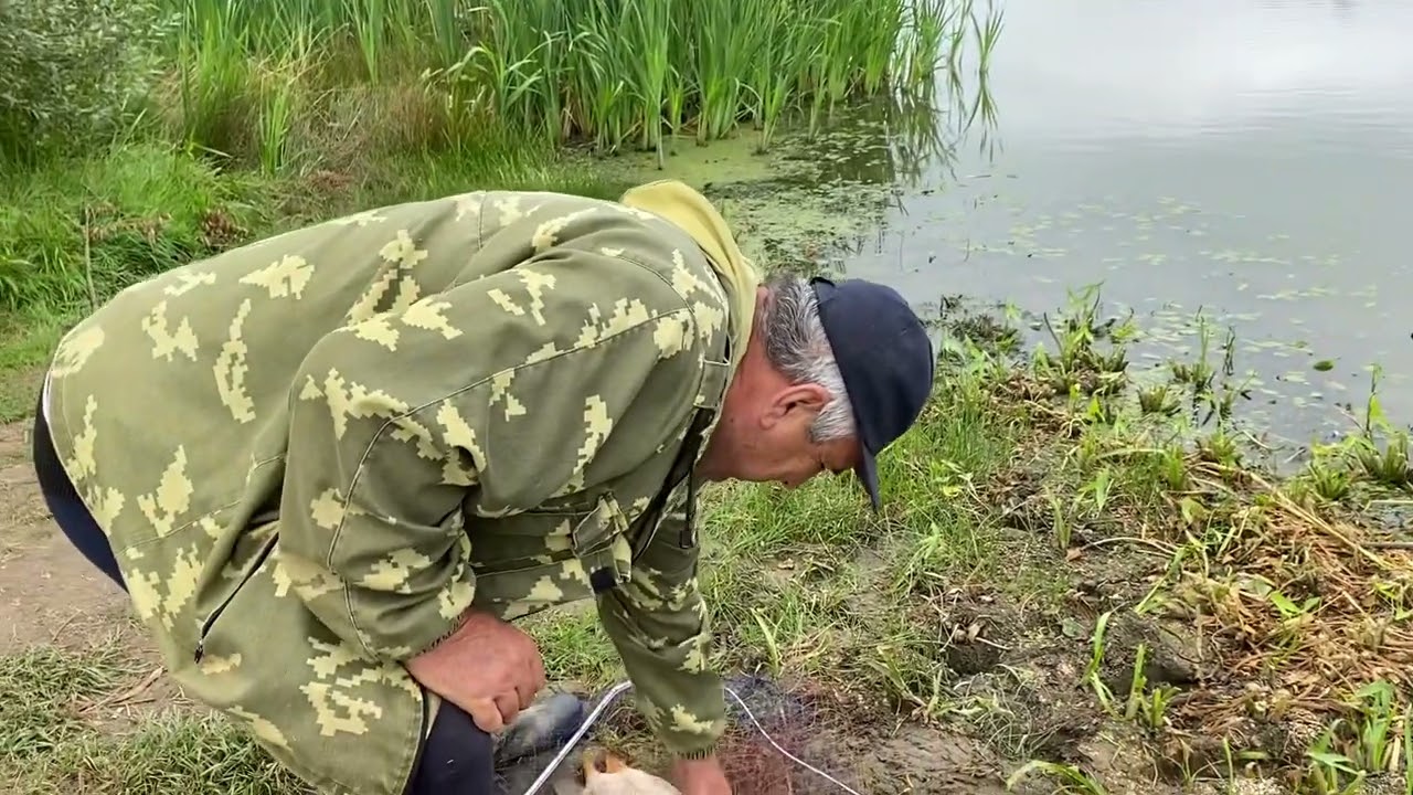 Симбухово рыбалка русфишинг. Симбухово рыбалка.