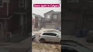 #yyc #calgary #canada #winter #snow #snowfall #iran #trump #travel #travelvlog #world #world #vlog
