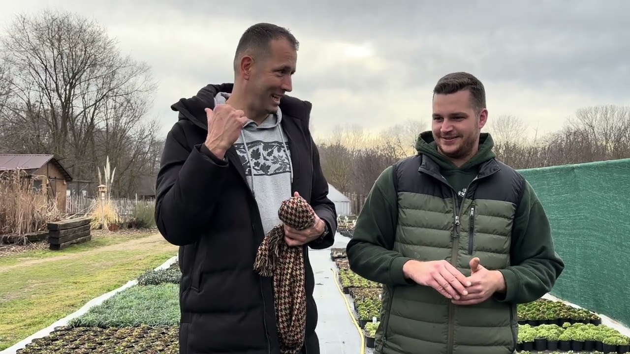 Évelőkertészet látogatás a szezon előtt. Páva, liba, tacskó, fürjek és kenguru :) Mini állatkert. 