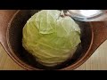Why didn't I know this recipe for Cabbage before? Delicious Cabbage Recipe!