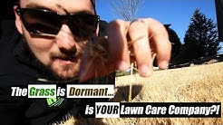 10 Additional Services your Lawn Care and Landscaping Business can offer