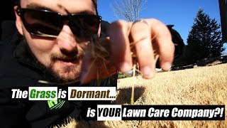 10 Additional Services your Lawn Care and Landscaping Business can offer