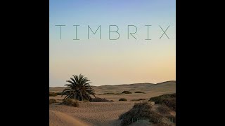 TimBrix - Feel You