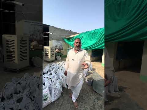 घर पर डीएपी कैसे बनाएं । how to make organic DAP, NPK at home । organic fertilizer