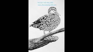 BEST ART ONLINE ANYWHERE MITZIE THE MALLARD A4 print www dianesdesigns66 com