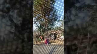 Mahindra Marazzo M8 Mahindra Marazzo M8