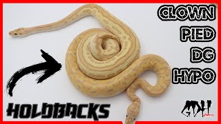 REVEALING MY 2021 HOLDBACKS FINALLY! Wealth