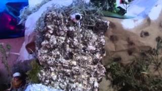 Nacimiento Navideño del CPP 2014.