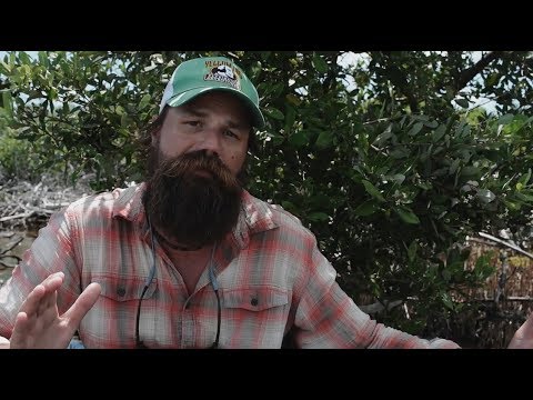 Oliver White - Bonefish Leader \u0026 Tippet 