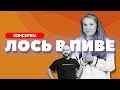 КАК СДЕЛАТЬ КОНСЕРВЫ | ЛОСЬ В ПИВЕ | В ПАРОВОМ АВТОКЛАВЕ WEIN