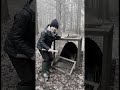 箱わな妨害騒動！#熊 #熊被害 #shorts #クマ被害 #愛護団体 #shortvideo
