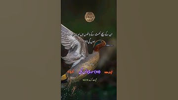 قرآن پاک اردو زبان میں سورة یونس آیت کریمہ 9 تا 10
