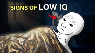 Details Everyday Habits That Are Actually Signs of Low IQ News