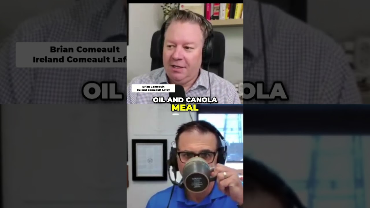 Analyzing Canola Market Trends