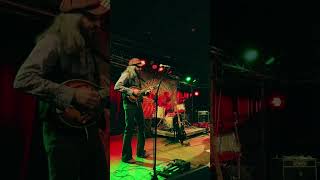 Aaron Brooks & The Bone Cirkus - Bodega, Bodega (LIVE) Part One #shorts #darkfolk #aaronbrooksmusic