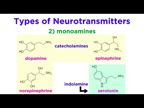 న్యూరోట్రాన్స్మిటర్లు: రకం, నిర్మాణం మరియు పనితీరు