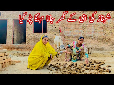 Achnk Shanaz Ki Ami Ky Ghr Jana Pra#Noorvlogs1214#village #villagelife #familyvlog e