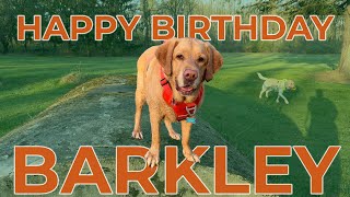 BARKLEY TURNS 5!!  I'M FIVE I'M FIVE SONG