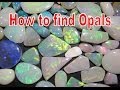 How to find Opals - Coober Pedy | Liz Kreate