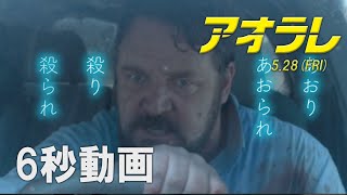 映画『アオラレ』6秒動画 あおりあおられ編