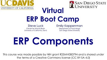 ERP Components 7-  P3 and LPP