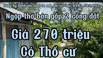 Ngộp bán gấp 2 công đất ruộng mặt tiền đường dal giá 270 triệu/1000m2 Giồng riềng kiên Giang