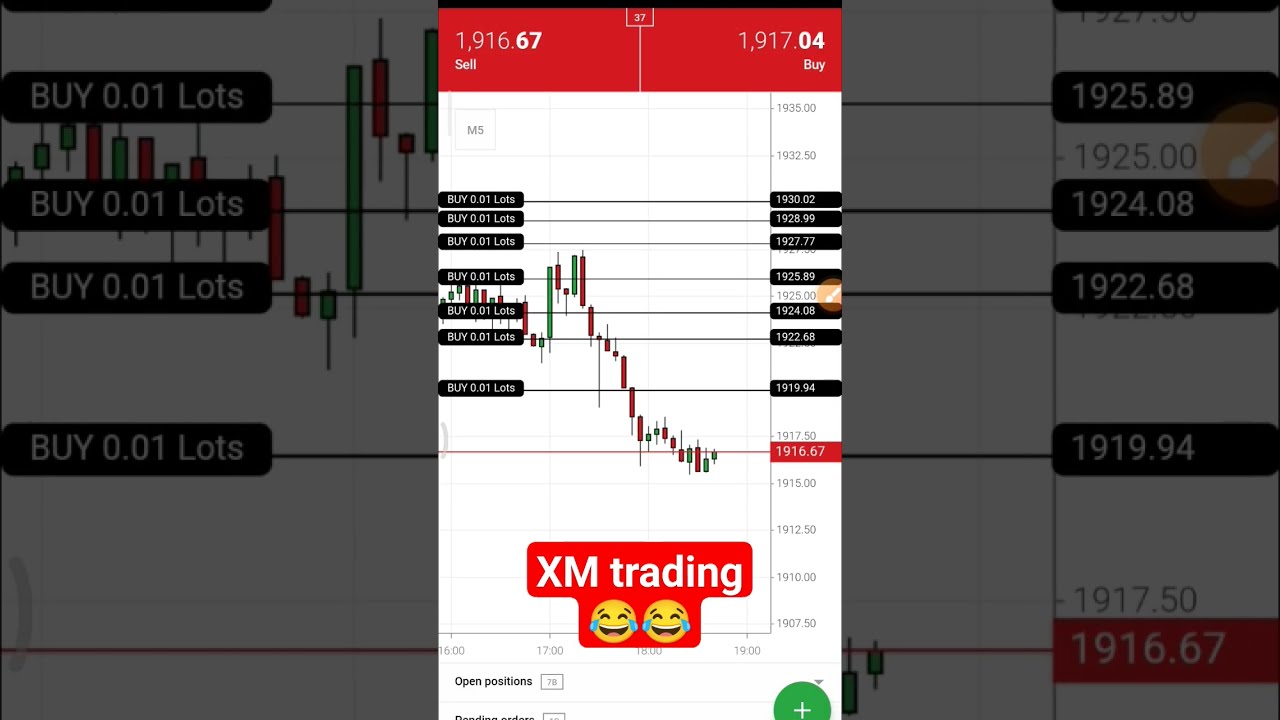 XM Trading Lost Wait Next Day 