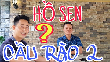 [ Hỏi Đáp Thị Trường ] Bất Động Sản Khu Vực Hồ Sen Cầu Rào 2 | Phần 1