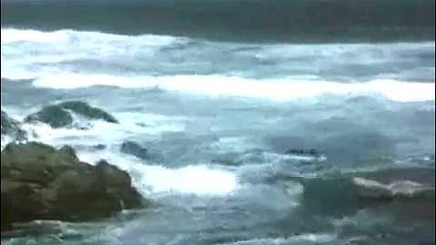 Esselfortium - Andante