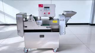 Slice, Dice, Shred! ⚡️ Meiying DQC101 Multi-Functional Vegetable Cutter - Fast & Easy!