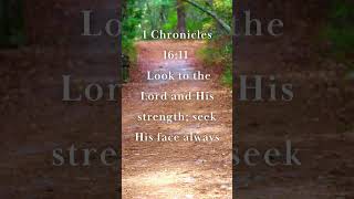 1 Chronicles 16:11 - I Look to the Lord and His Strength