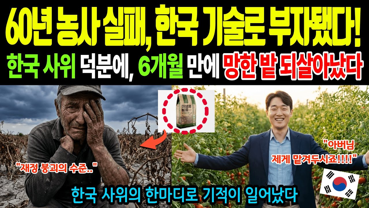 [해외감동사연]