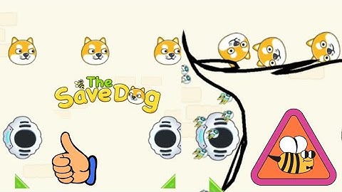 Save the Dog gameplay walkthrough - level 107. 🐝 #savethedogegame 