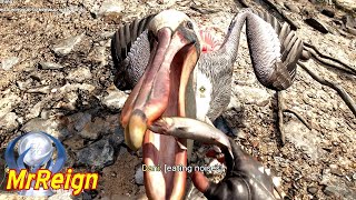 Far Cry 6 - A Little Bird Told Me treasure Hunt - AR-6 Rifle Location - Fish Key