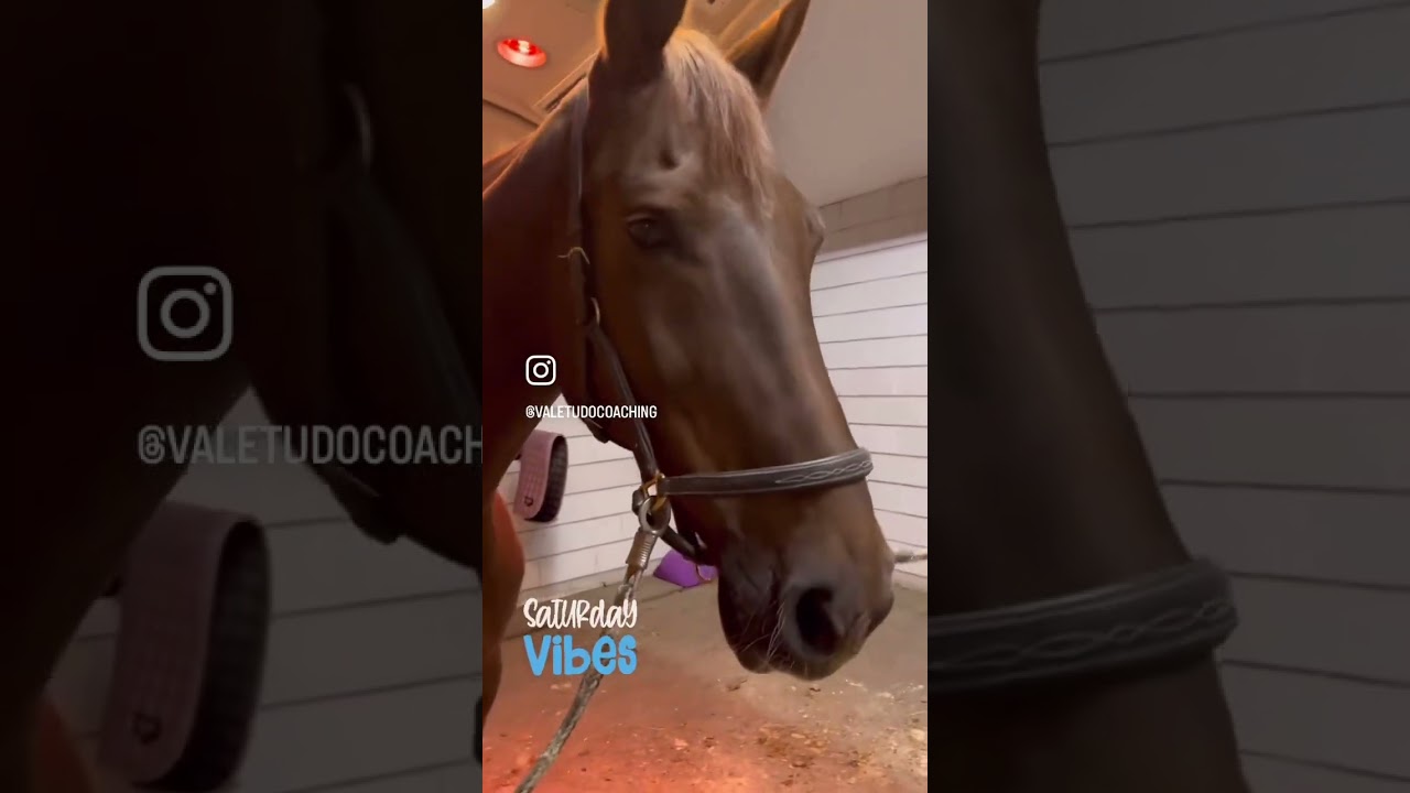 De kracht van rust nemen