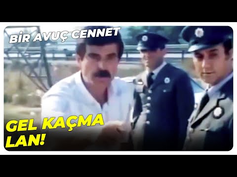 Bir Avuç Cennet - Adamın Kafasını Bozma! | Tarık Akan Eski Türk Filmi